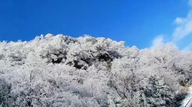 投个篮