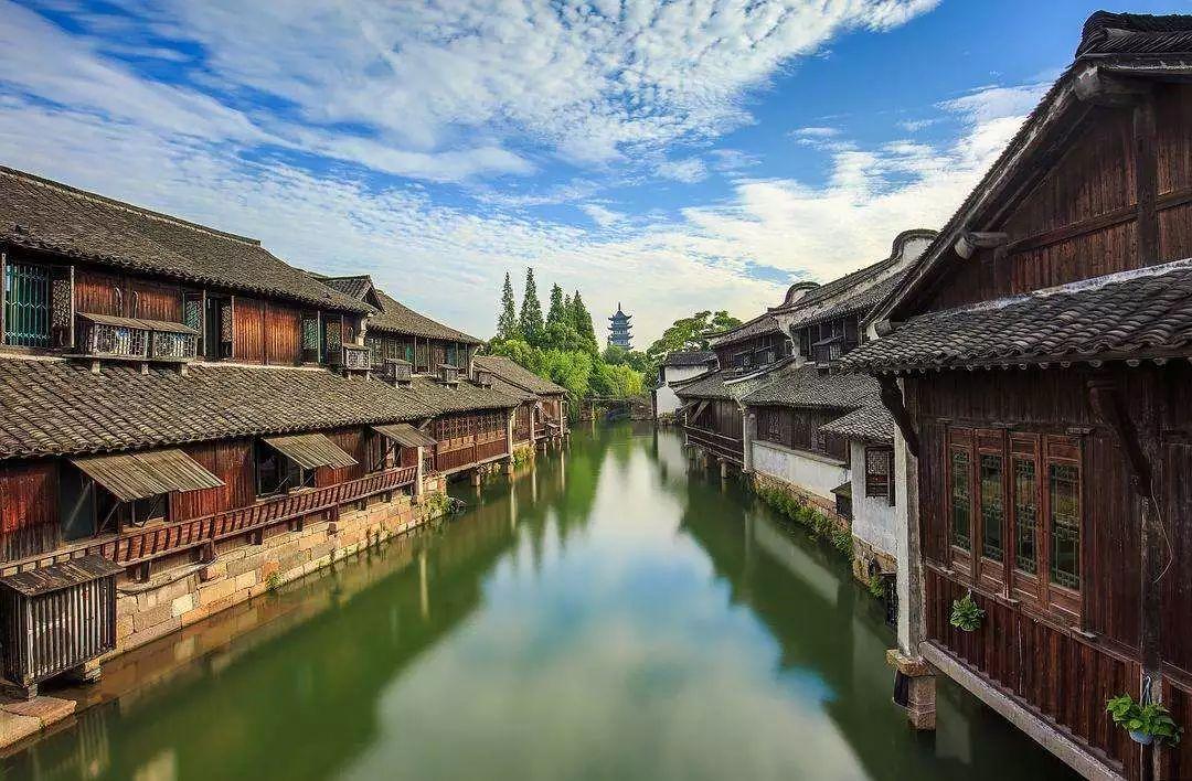植物大战僵尸16